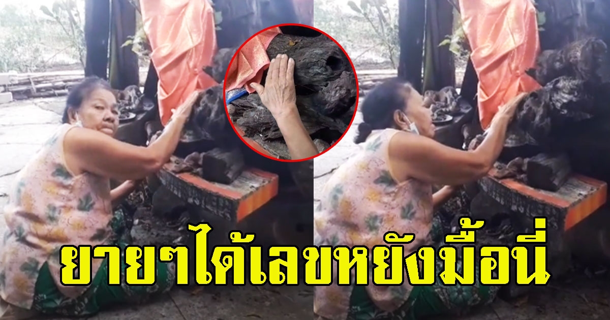 หนุ่มโพสต์ ยายถูกเลข