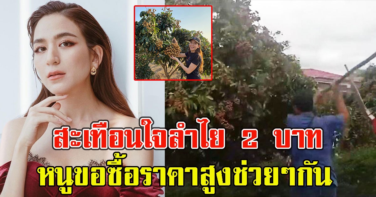 ชาวสวนฟาดลำไยทิ้ง หลังราคาต่ำสุดใน 30 ปี ล่าสุด พลอย ชิดจันทร์ เปิดรับซื้อราคาสูงกว่าที่อื่น