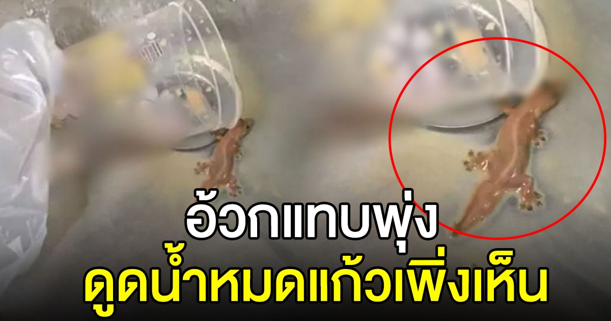 สาวดื่มกาแฟร้านดัง จนหมดแก้วเพิ่งเห็น