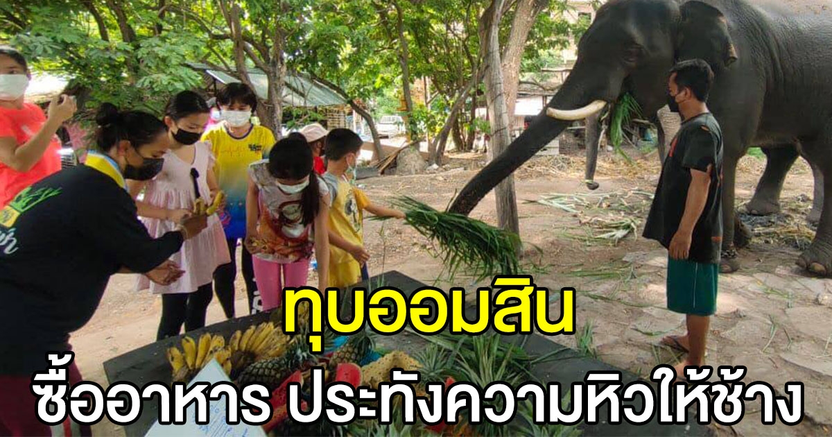 กลุ่มหนูน้อย ทุบกระปุกออมสิน ซื้ออาหารให้ช้าง