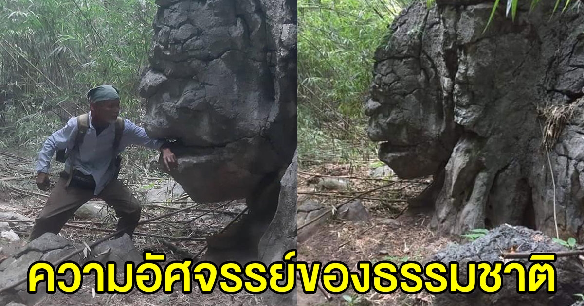 ความอัศจรรย์ของธรรมชาติ