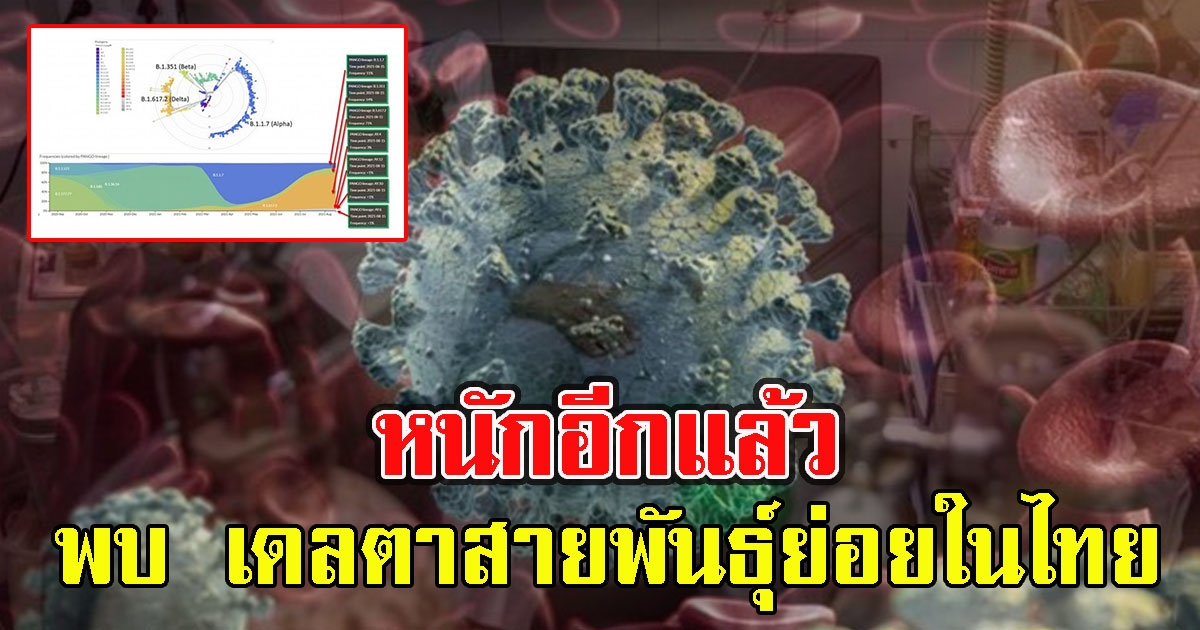 หนักอีกแล้ว ศูนย์จีโนมฯ รพ.รามา พบ เดลตาสายพันธุ์ย่อยในประเทศไทย