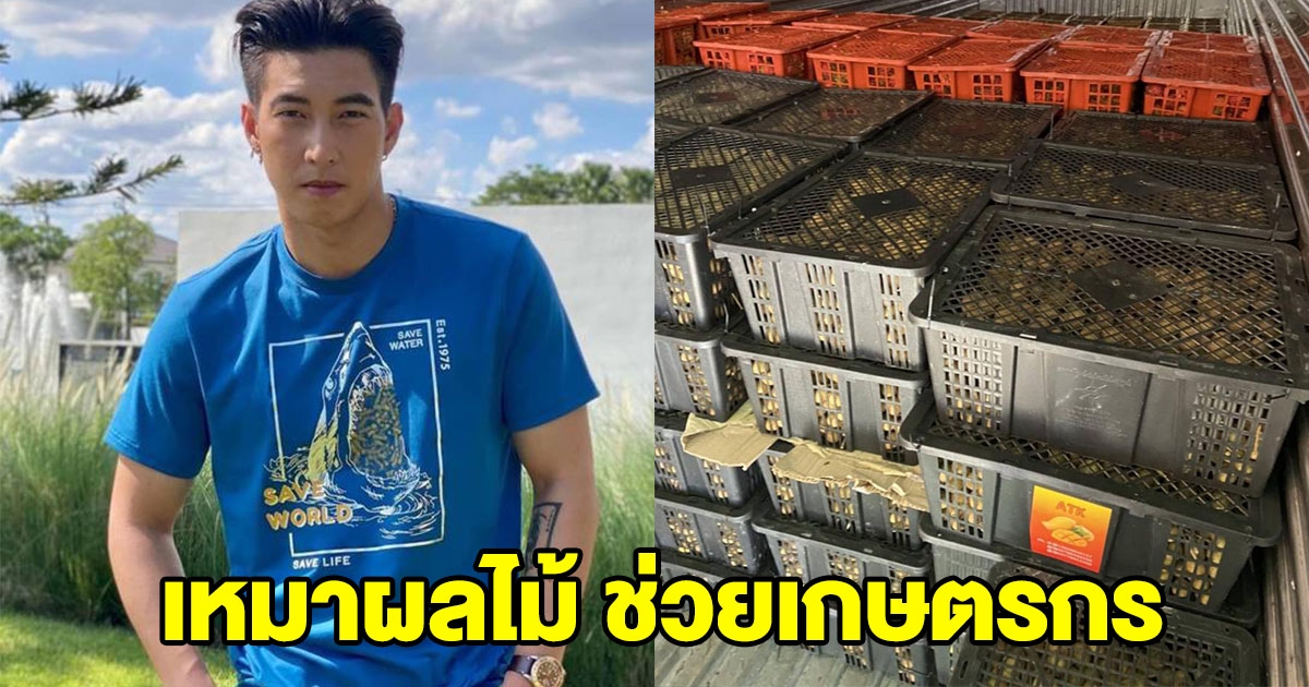 โตโน่ เหมาผลไม้ช่วยเกษตรกร