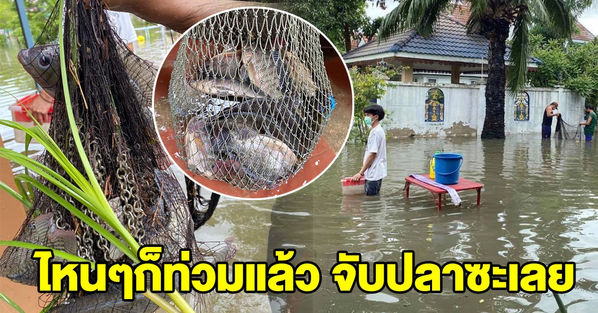 ชาวบ้านออกมาหาปลา หลังน้ำท่วม