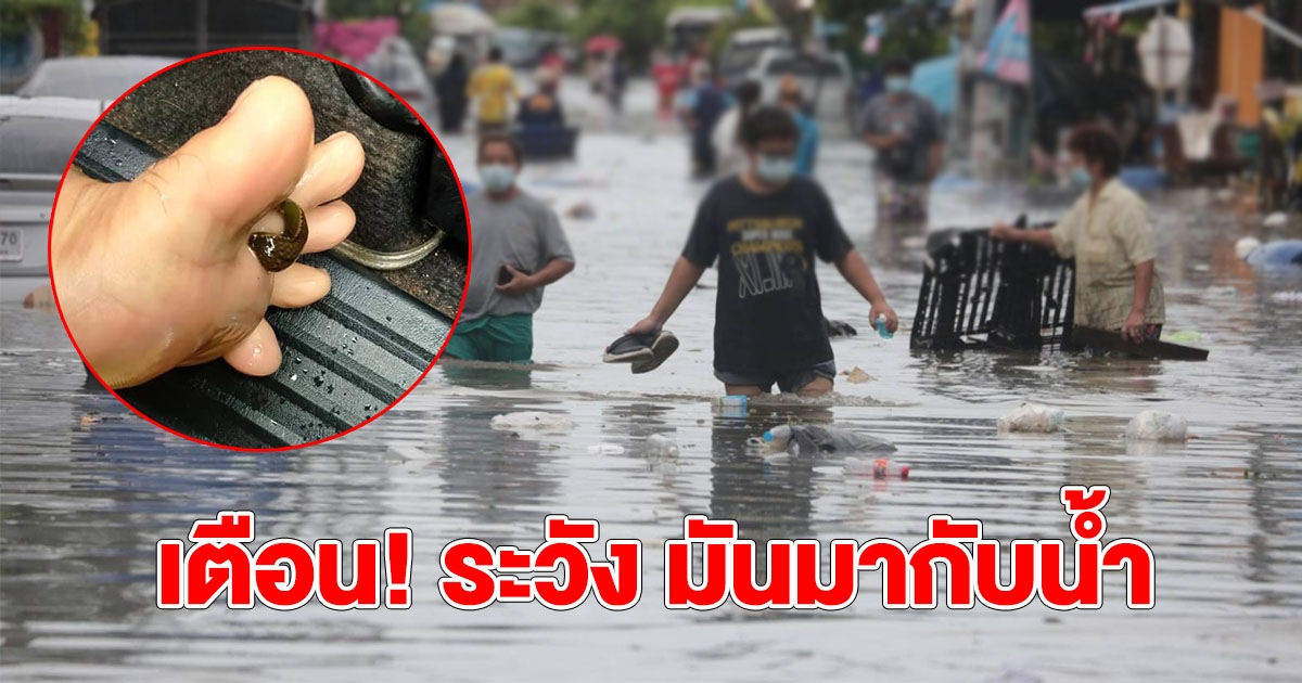 ใครลงเล่นน้ำ ระวังให้ดี