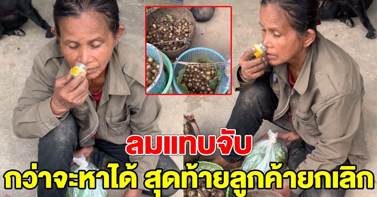 ยายเข้าป่าหา เห็ดตาโล่ ได้มา 10 กิโล ลูกค้ายกเลิก