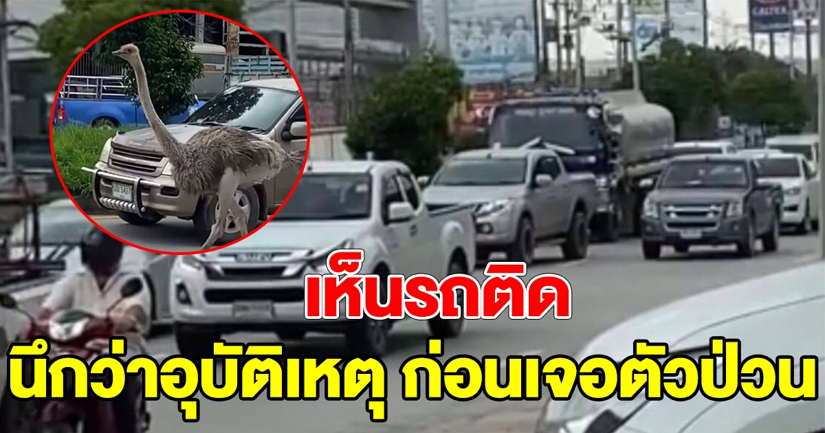 ตำรวจเห็นรถติด นึกว่าเกิดเหตุ