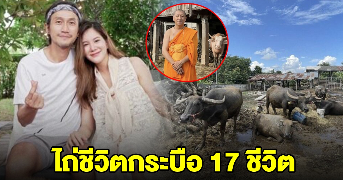 ก้อย ตูน ไถ่ชีวิตกระบือ 17 ชีวิต ทำบุญ เนื่องในวันคล้ายวันเกิด หลวงพี่โน้ส