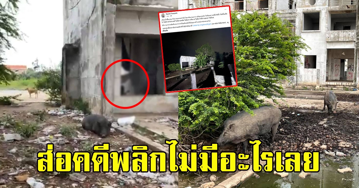 ส่อคดีพลิก สาวเห็นชาย-หญิงคู่หนึ่งในตึก คนแห่ไปดูบอกไม่มีอะไรเลย