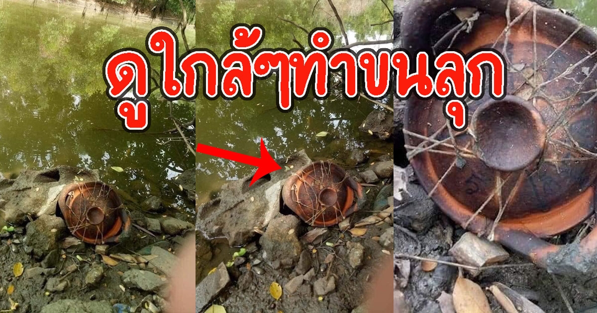 หนุ่มไปจุดกางเต็นท์ ได้หม้อปริศนา