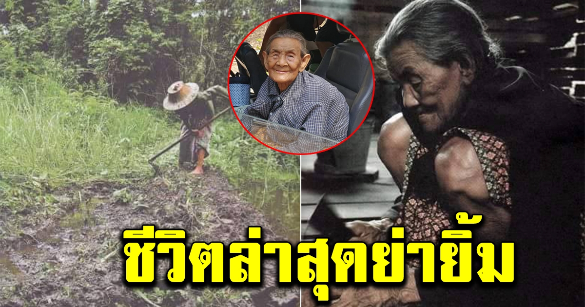 ส่องชีวิตปัจจุบัน ย่ายิ้ม อยู่ในป่าลำพังนาน40ปี