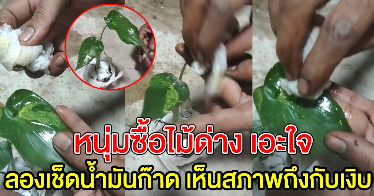 หนุ่มเอะใจ หลังสั่งต้นไม้มา