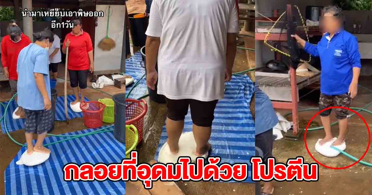 ชาวบ้านเหยียบกลอย