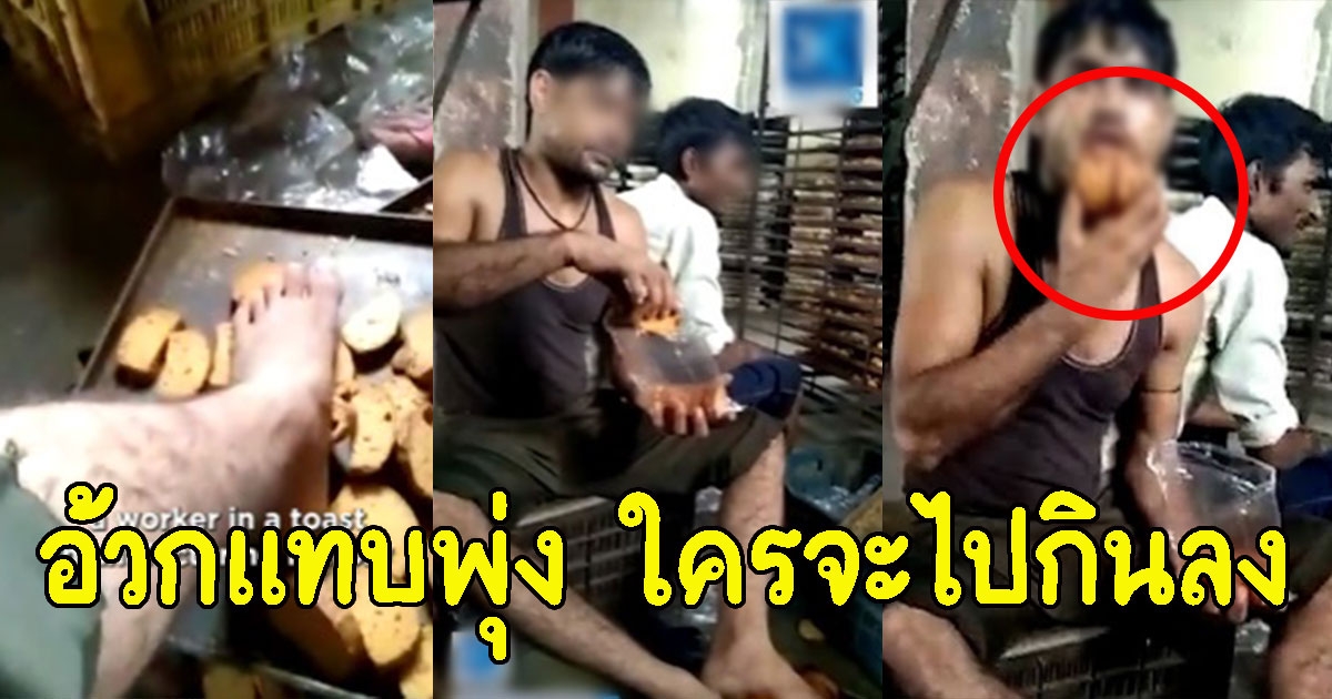 คนงาน เอาเท้าเหยียบแผ่นขนมปัง