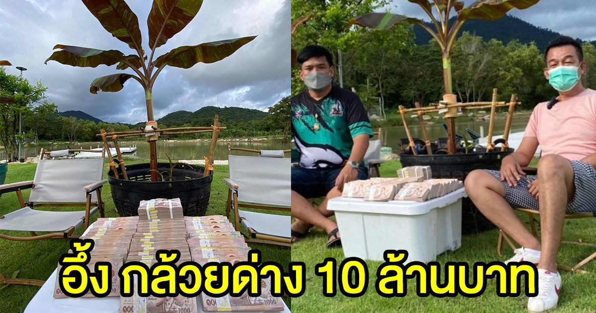 ฮือฮากันทั้งโซเชียล กล้วยด่าง 10 ล้าน