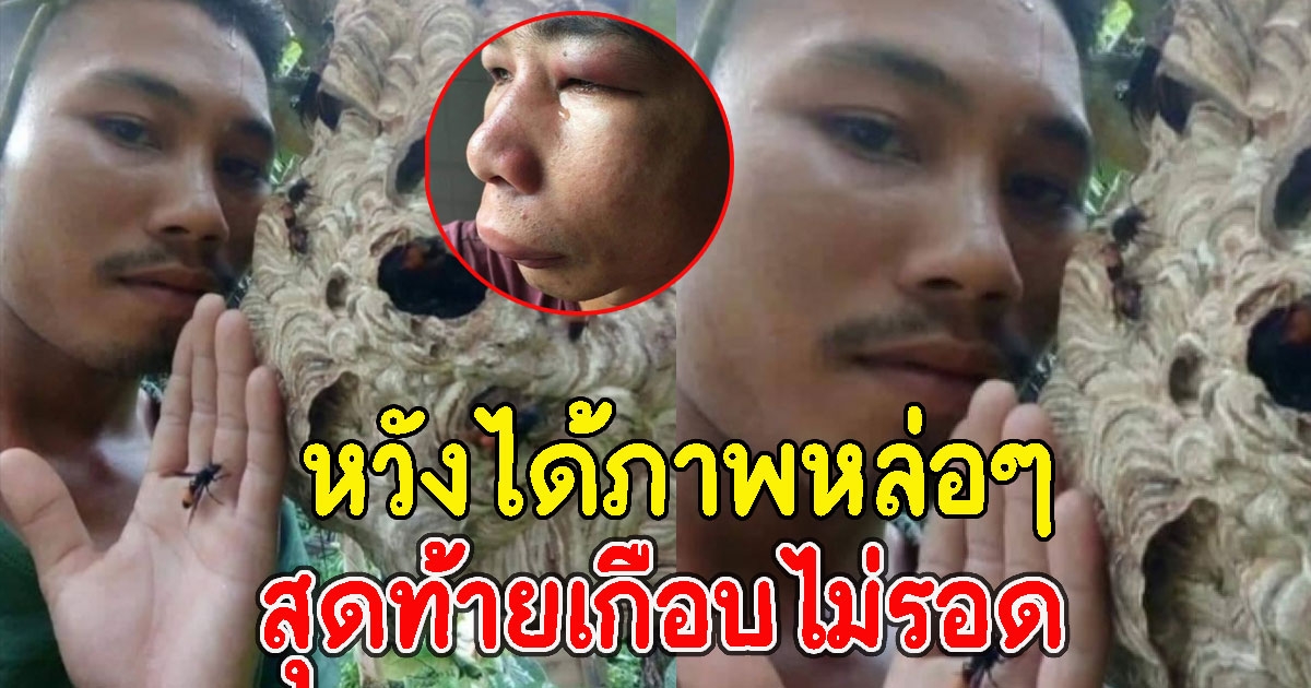 หนุ่มลองดีเซลฟี่ กับรังต่อยักษ์ หวังได้ภาพหล่อๆ