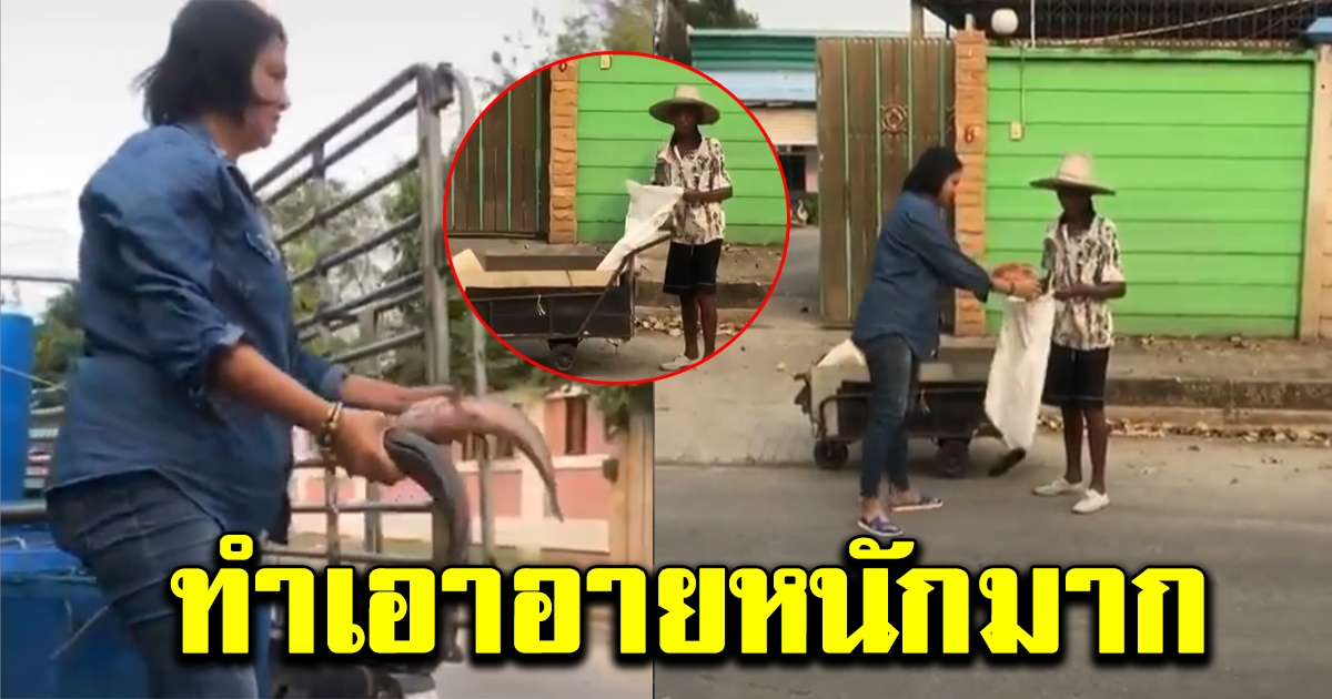 สาวแบ่งปลาตัวใหญ่ให้ลุง