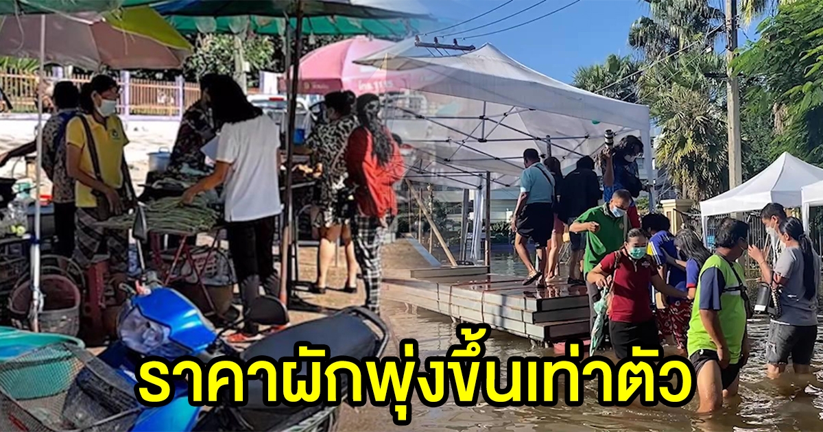 ชัยภูมิน้ำท่วม ผักราคาพุ่งขึ้นเท่าตัว