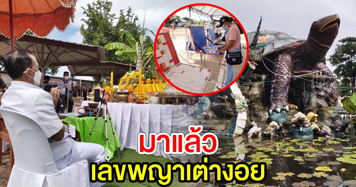 มาแล้ว เลข พญาเต่างอย