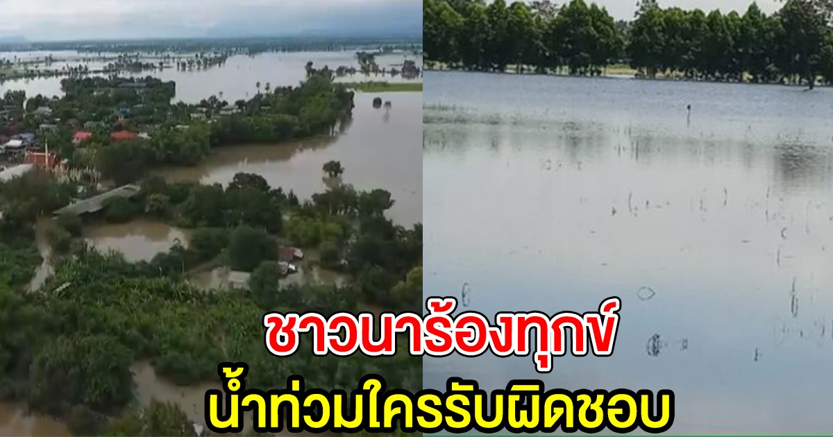 ชาวนาถาม ใครรับผิดชอบ