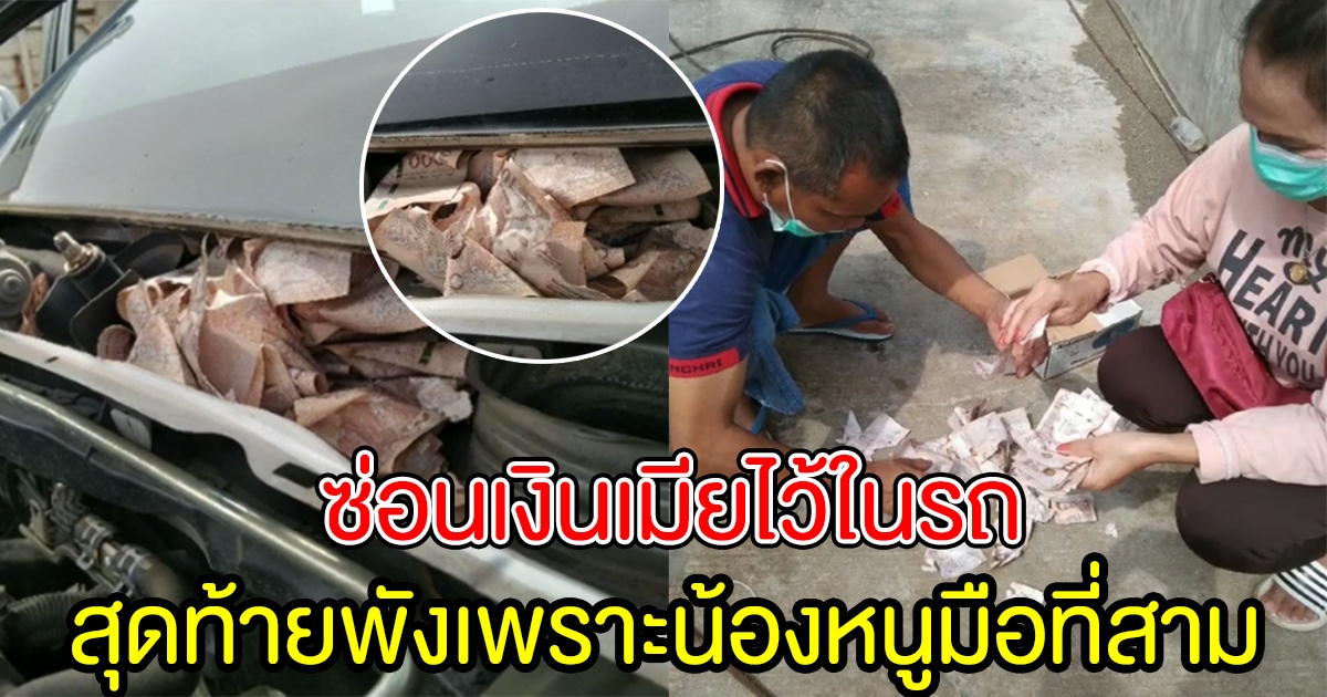 พ่อบ้านใจกล้า เกมแล้ว