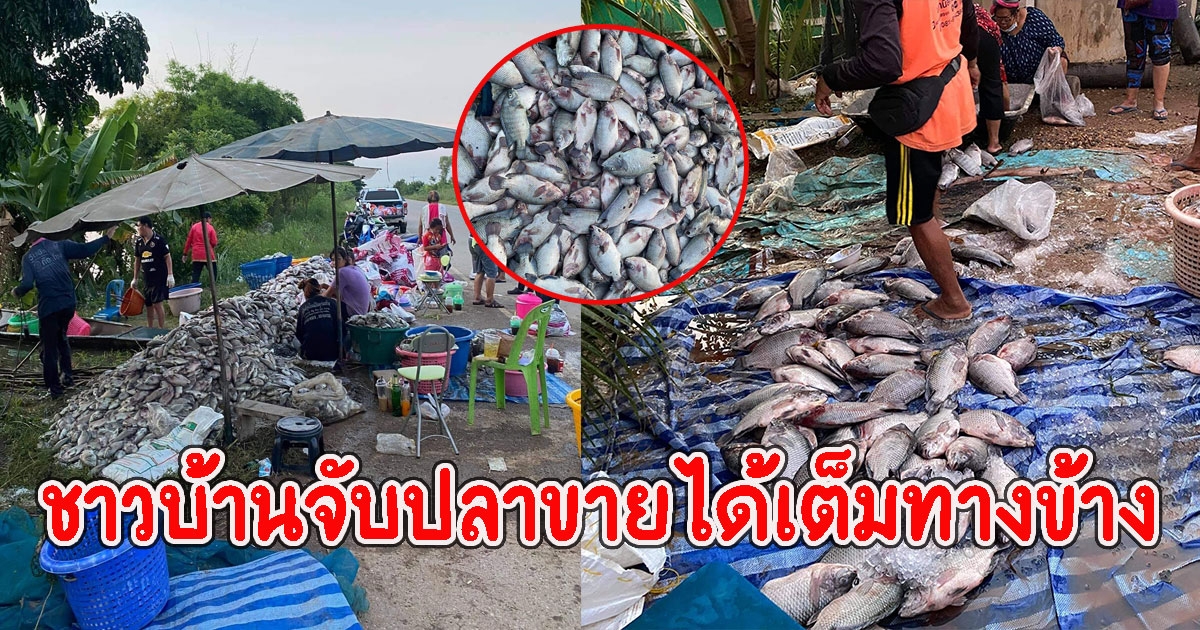 ชาวบ้าน คว้านาทีทองหลังน้ำลด