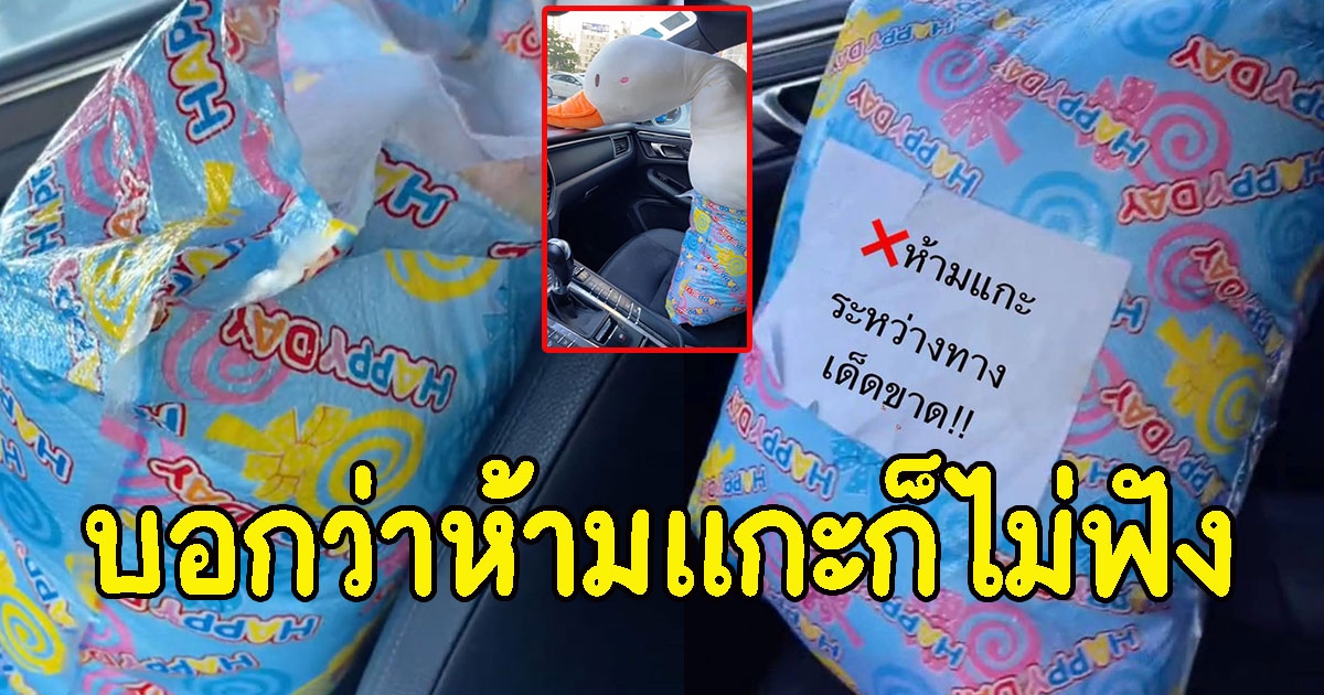 ป้ายบอกว่าห้ามแกะระหว่างทาง