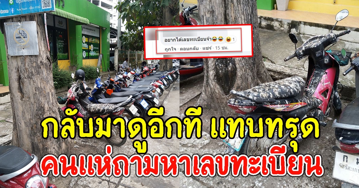 คนถามหาเลขทะเบียน หนุ่มจอดรถใต้ต้นไม้ ก่อนกลับมาดูอีกที