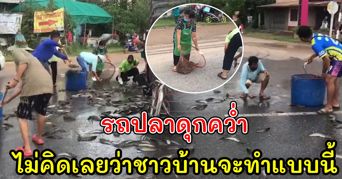 รถกระบะ วิ่งขนปลาดุก