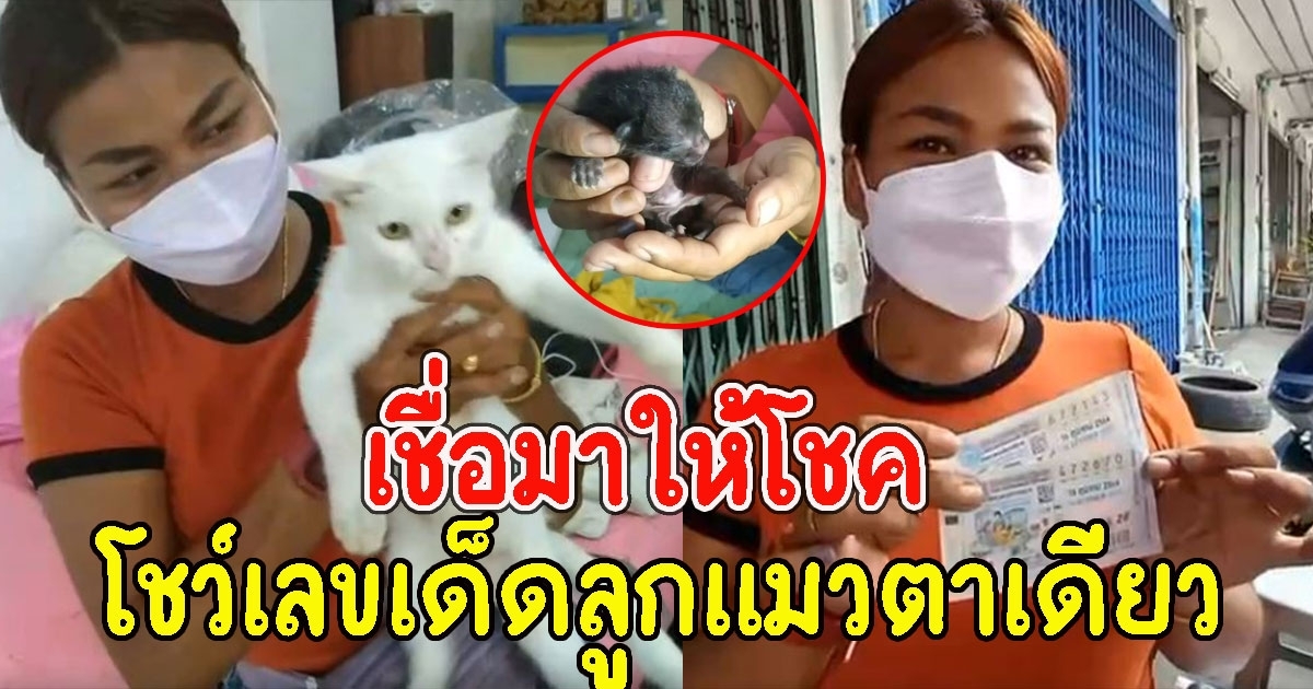 เเม่ค้าไม่มีกั๊ก โชว์เลขให้ดู