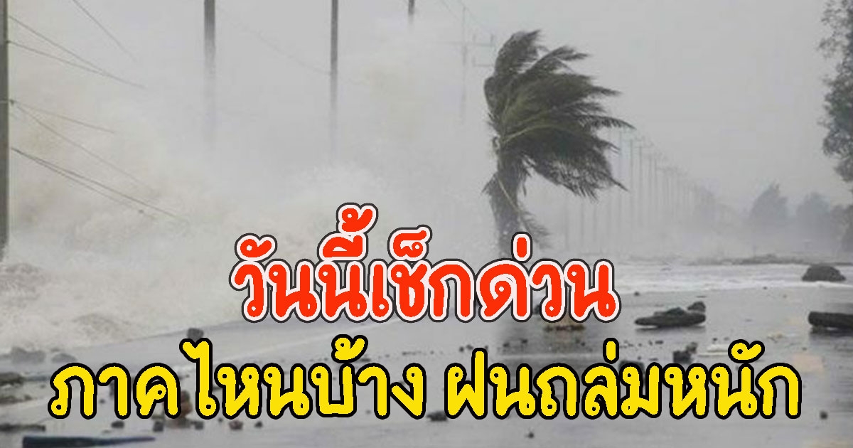 วันนี้มาตามนัด เช็กด่วน ภาคไหนบ้าง เตรียมรับมือฝนถล่มหนัก