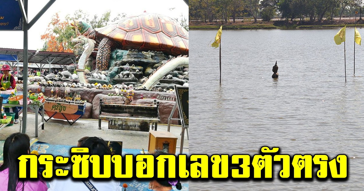 เศรษฐีถูกเลข 12 ล้านโผล่ไหว้ เต่างอย กระซิบบอก 3 ตัวตรง