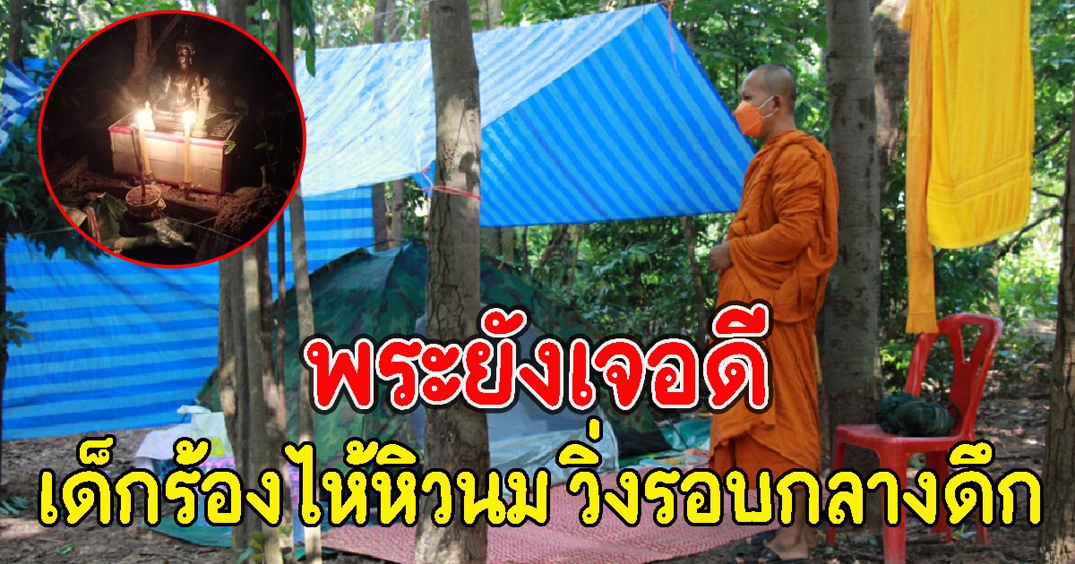 พระกักตัวในป่าช้า นอนคืนแรกก็เจอดี ถึงกับรีบสวดแผ่เมตตา