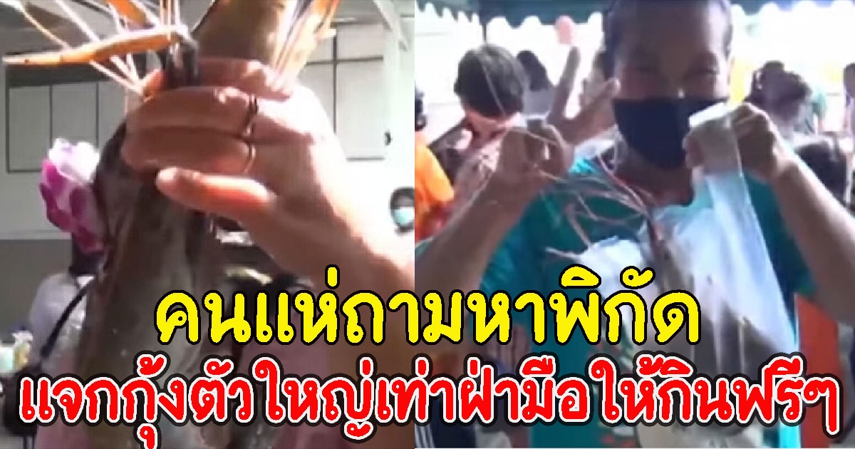 สาวใจเจ๊ ให้กุ้งแม่น้ำตัวใหญ่เท่าฝ่ามือให้กินฟรี ๆ ในงานบุญกฐิน