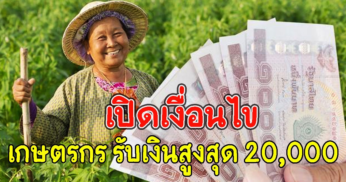 เปิดเงื่อนไข เงินช่วยเหลือเกษตรกร รับเงินสูงสุด 20,000