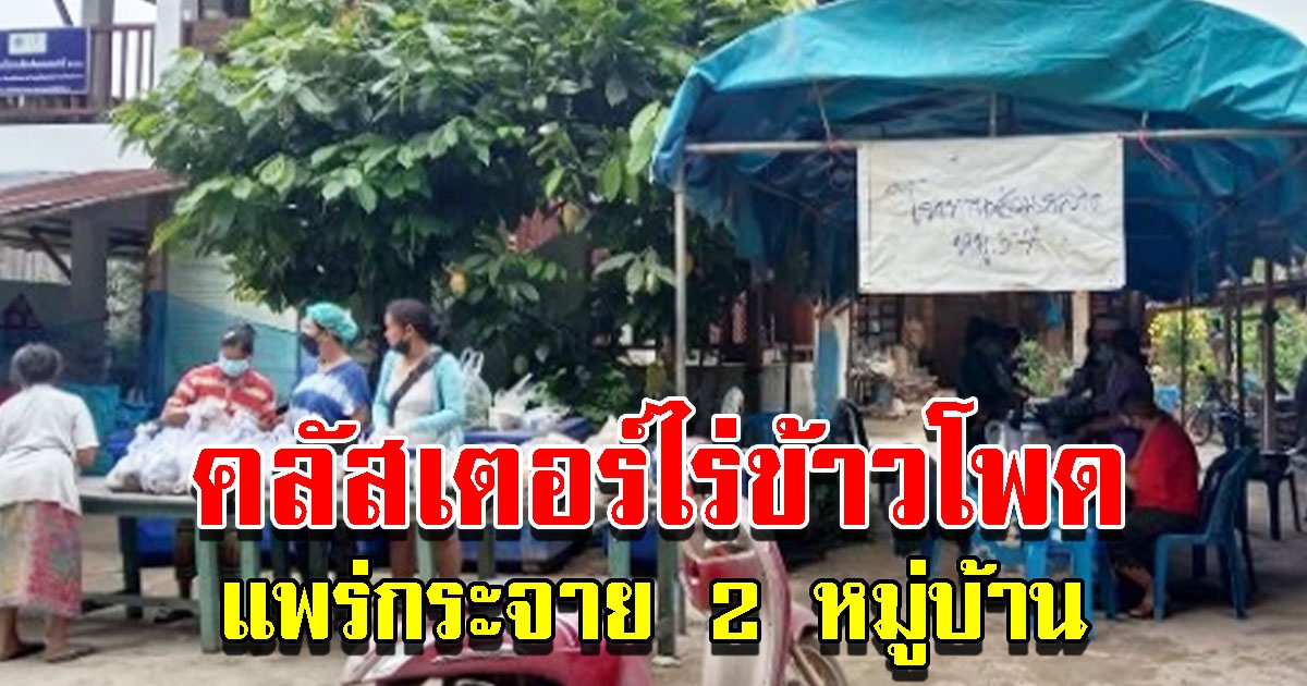 คลัสเตอร์ไร่ข้าวโพด