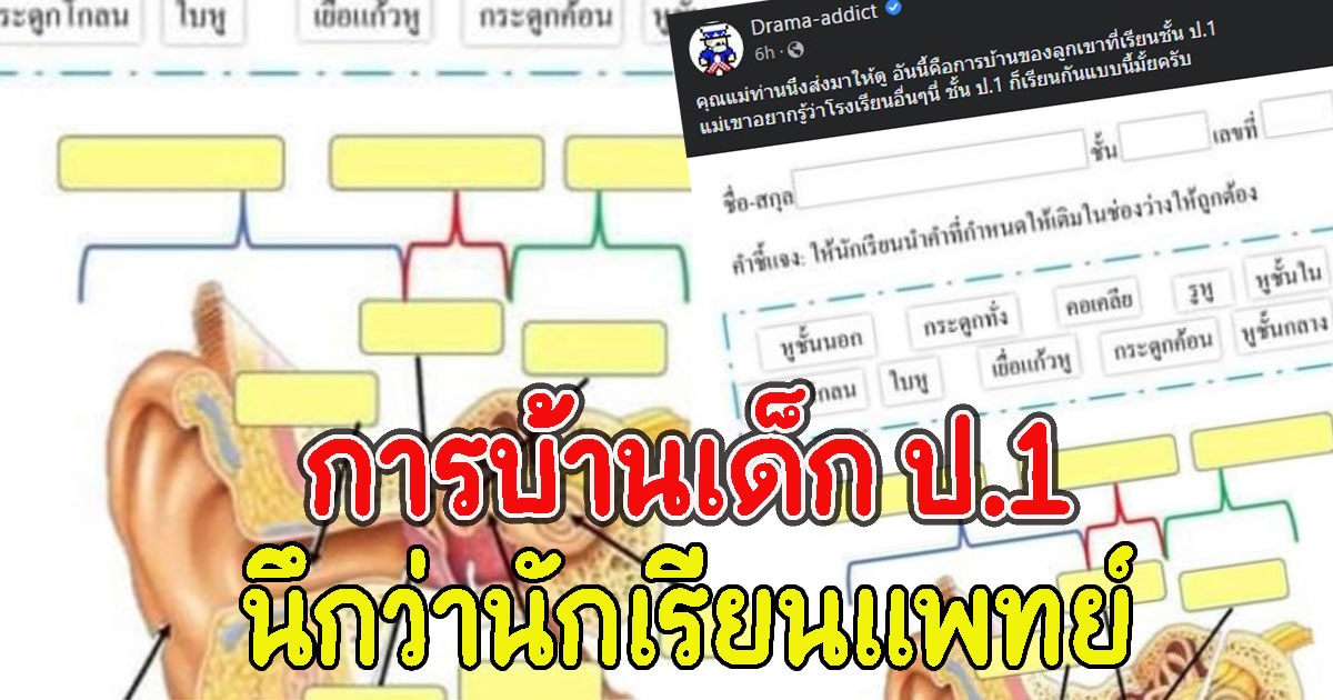 คุณแม่เห็นการบ้านลูก ป.1 นึกว่านักเรียนแพทย์