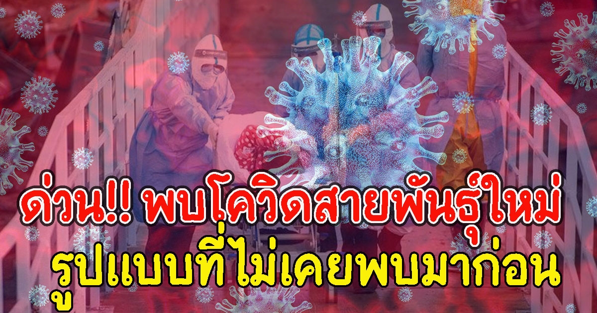 ด่วน พบCV สายพันธุ์ใหม่ B.1.640 ไม่เคยพบมาก่อน