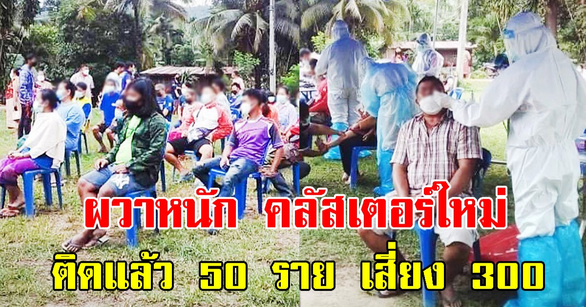 คลัสเตอร์ใหม่ งานชาวกะเหรี่ยง