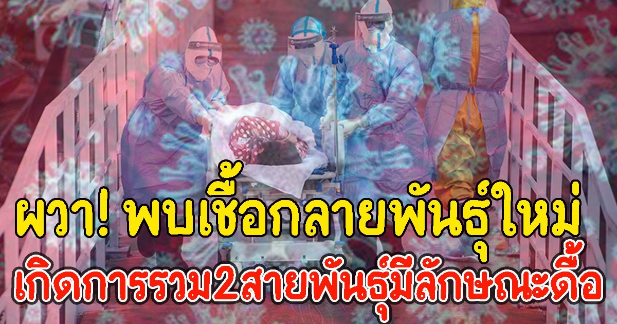 พบ CV กลายพันธุ์ใหม่ เกิดการรวม2สายพันธุ์