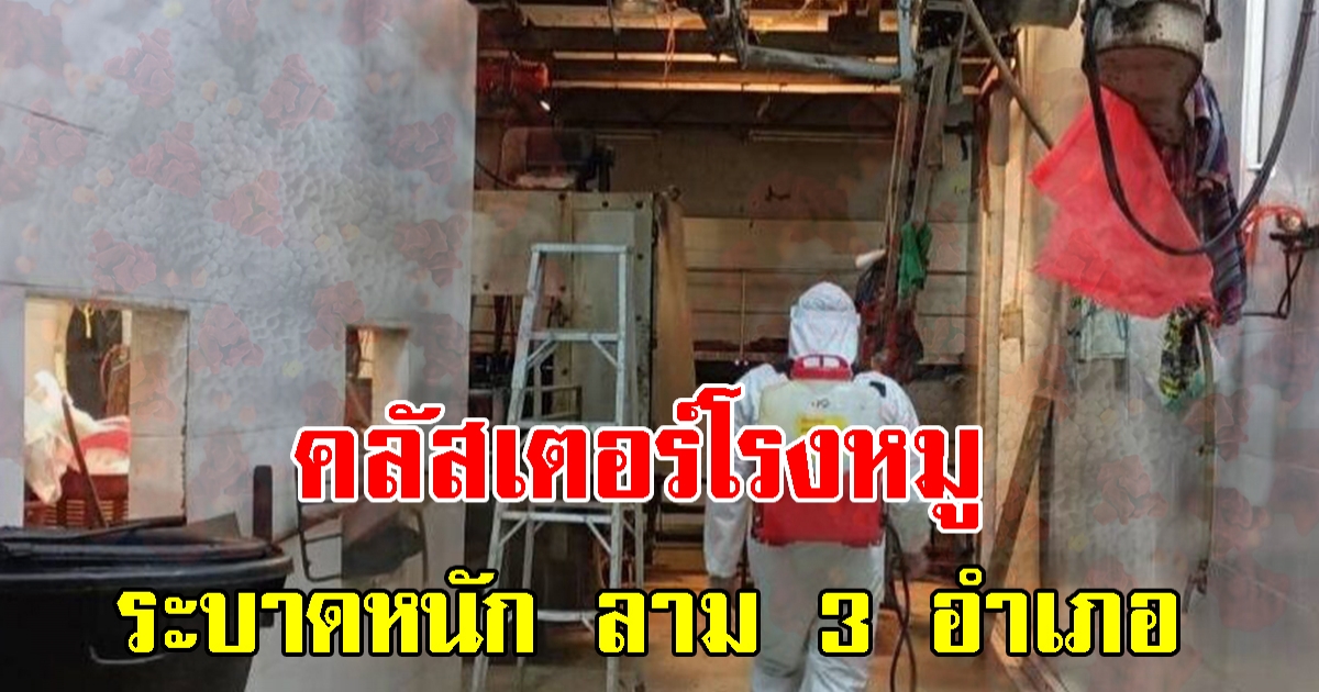 คลัสเตอร์โรงหมู กระจาย 3 อำเภอ