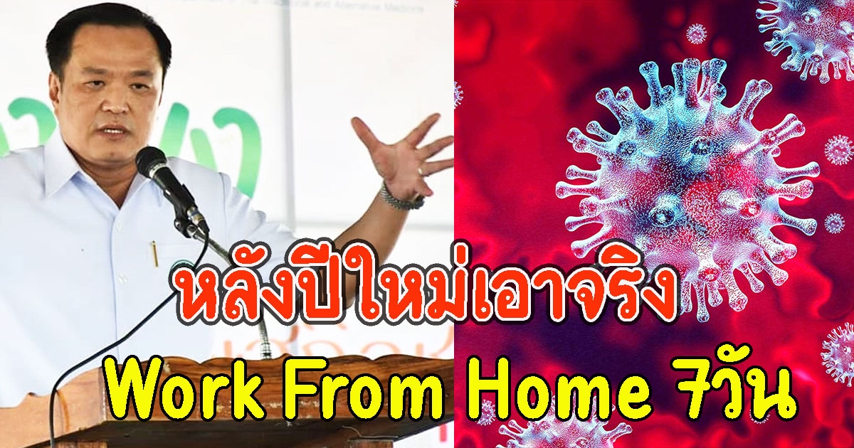 อนุทิน เผยหลังปีใหม่คนไทยอาจจะต้องWork From Home 7วัน