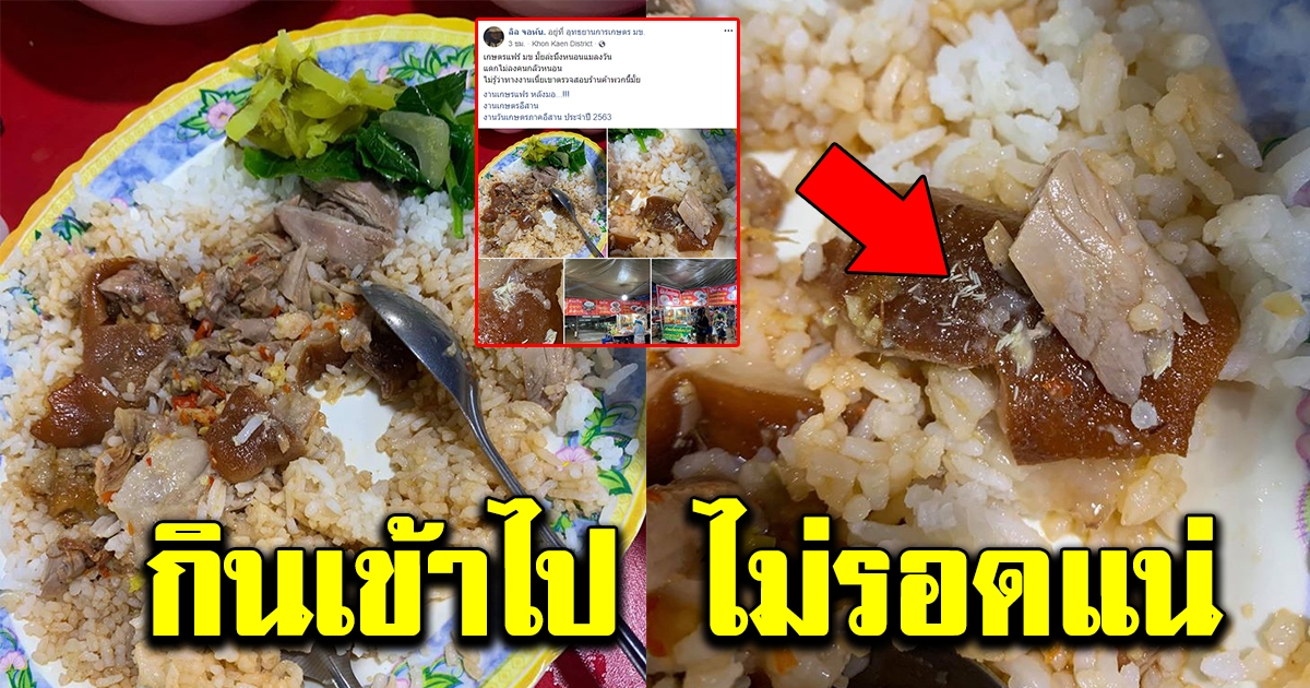 หนุ่มแวะกินข้าวขาหมูในงานประจำปี