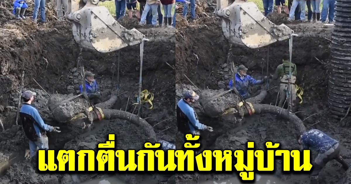 ชาวนาขุดดิน ทำไร่ถั่วเหลือง