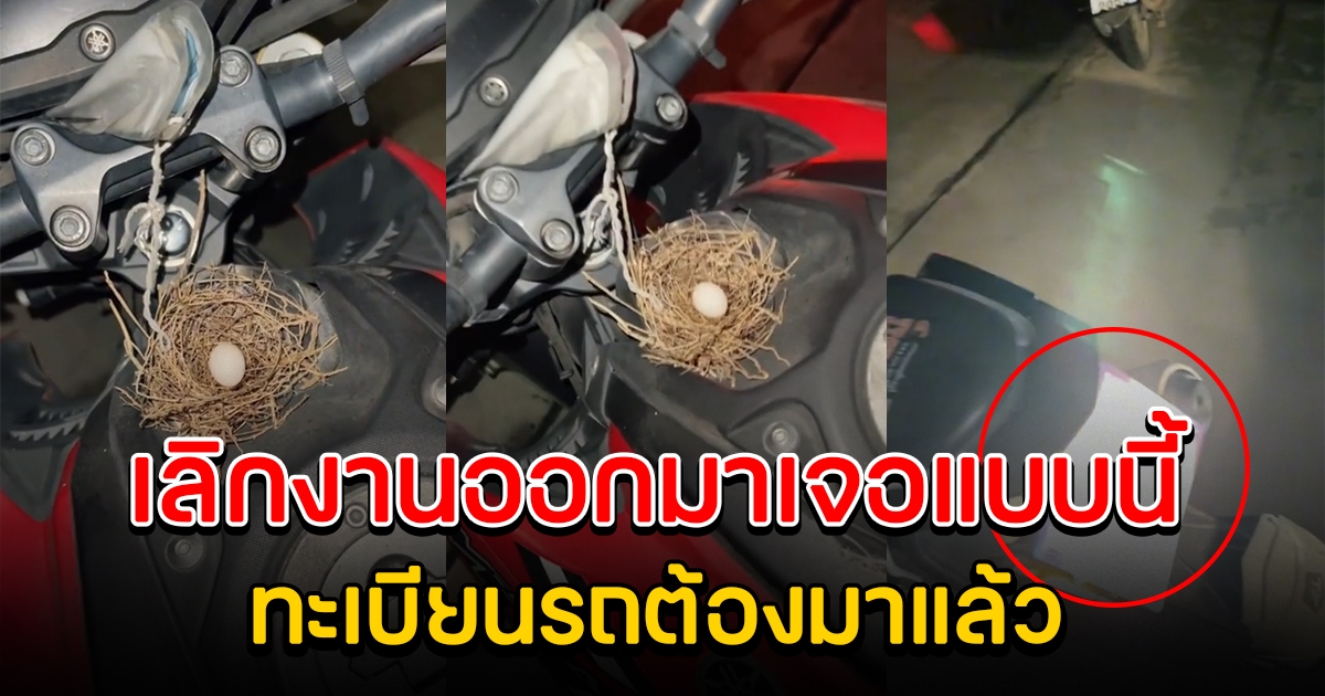 หนุ่มเลิกงาน กำลังจะกลับบ้าน เจอนกทำลังที่รถ