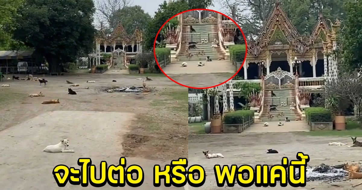 สาวเผยสาเหตุ ที่ช่วงนี้ไม่กล้าเข้าวัด