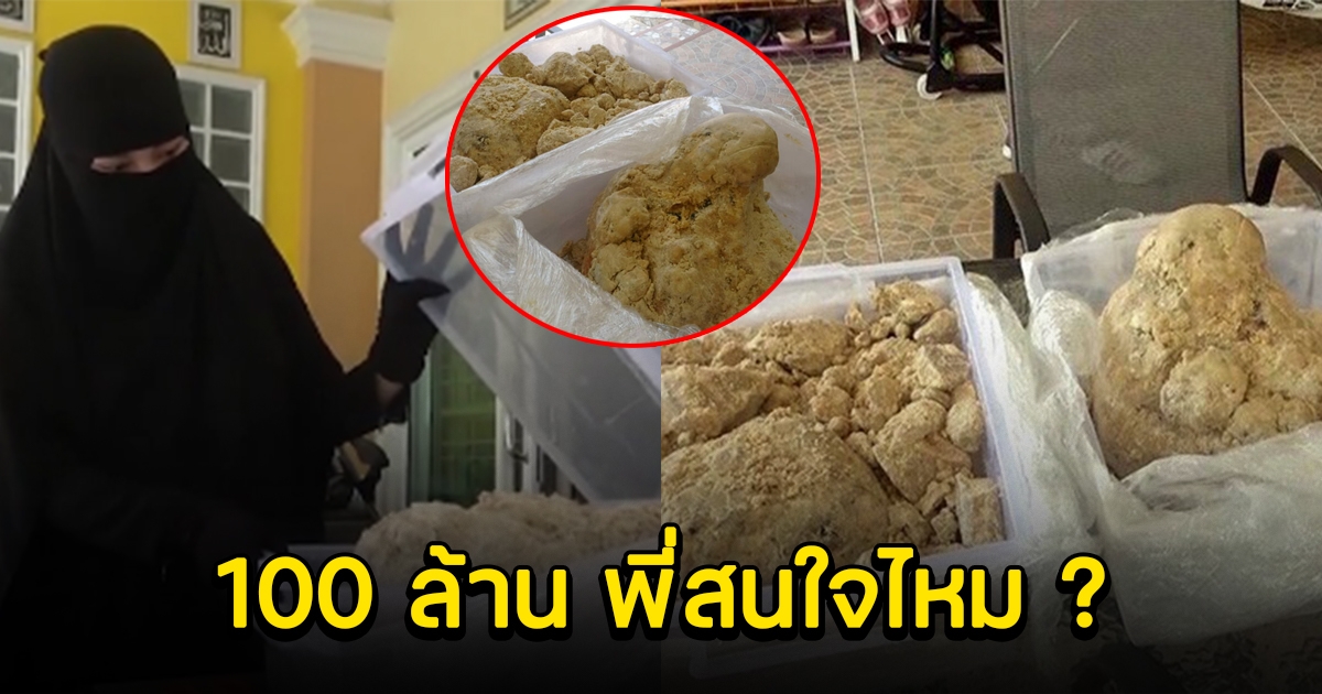 สาวเจอ อำพันทะเล 30 กก. เปิดขาย 100 ล้าน