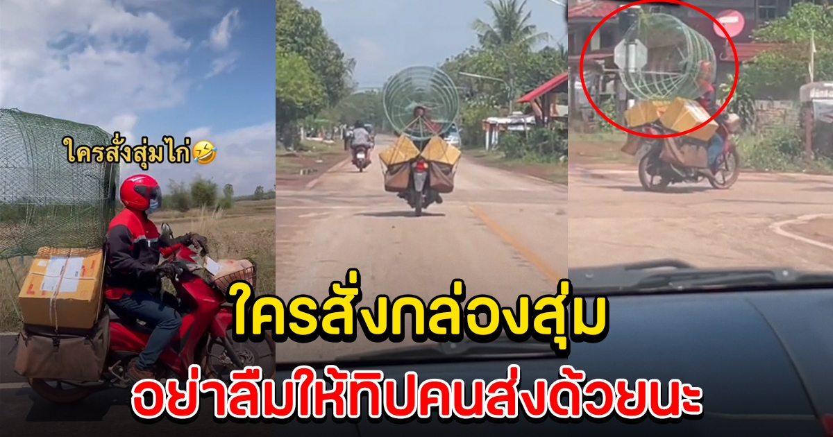 เอ็นดูบุรุษไปรษณีย์ ขี่ จยย.ไปส่งสุ่มไก่