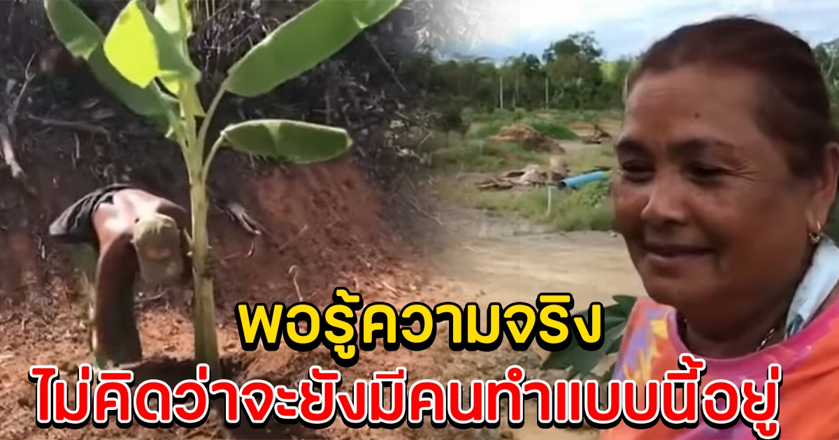 ชาวบ้านงง ป้าสั่งลูกน้อง ปลูกต้นกล้วยบนที่หลวง