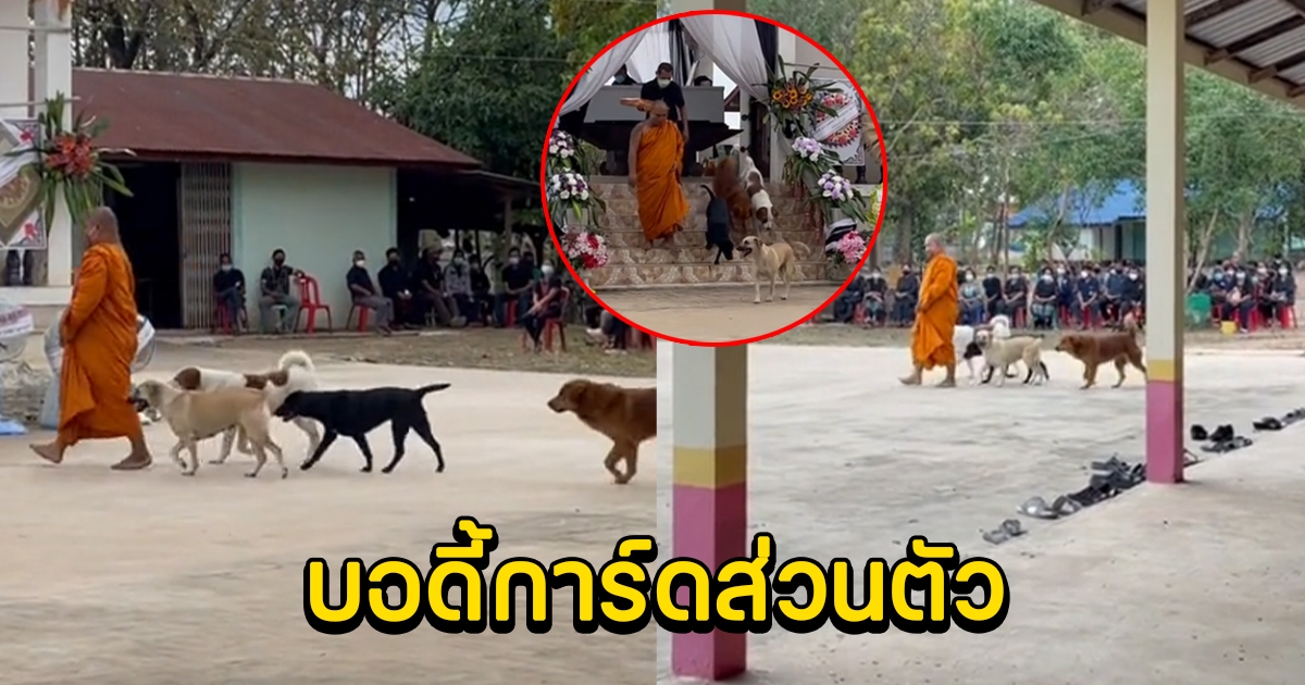 เอ็นดู บอดี้การ์ดส่วนตัว ของหลวงพ่อ ยกทีมคุ้มกันตลอดทั้งงาน